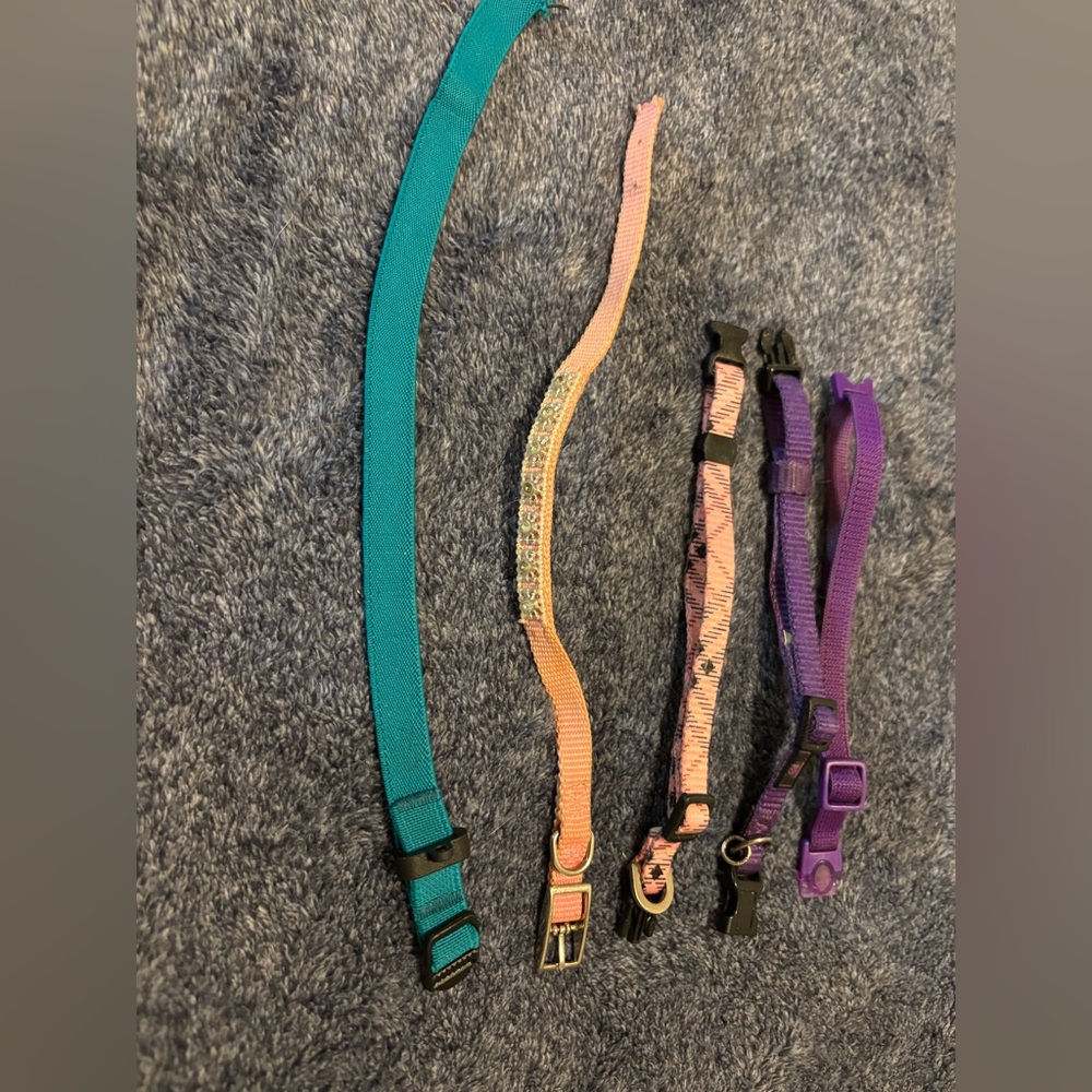 Adjustable collar. Lot of 5
Most adjustable approximately 8-12”
5 each
